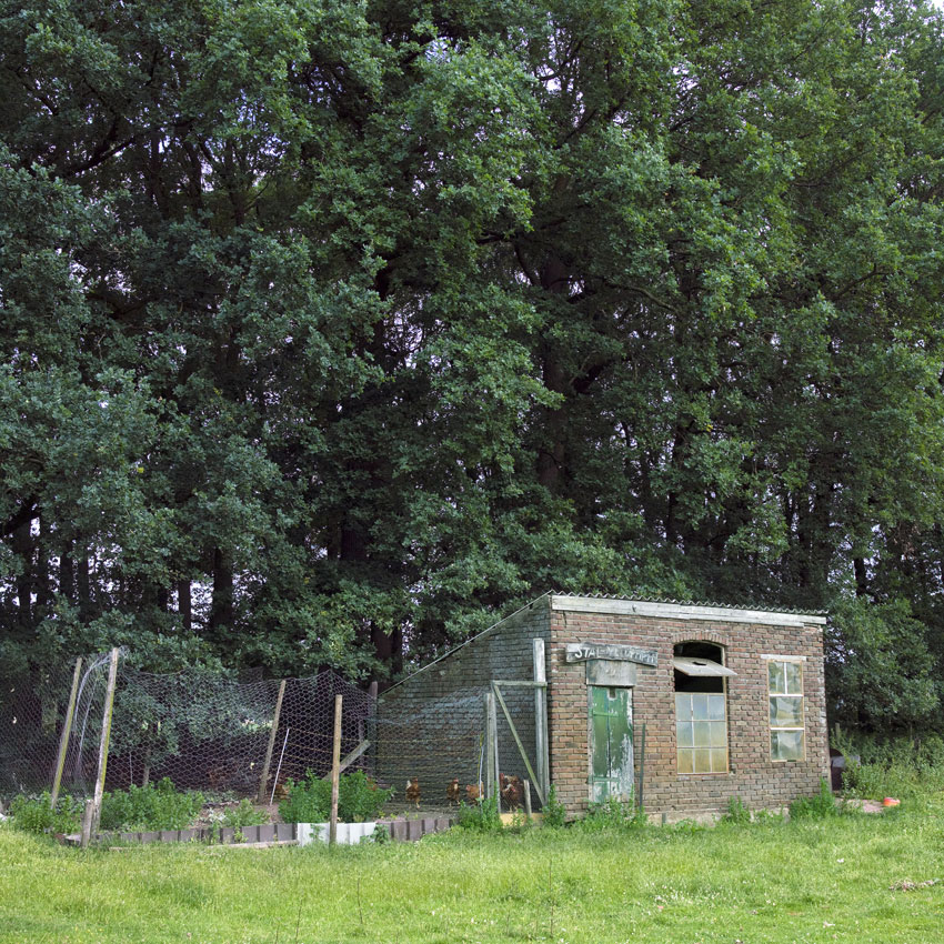 00095 kippenhokken (4)